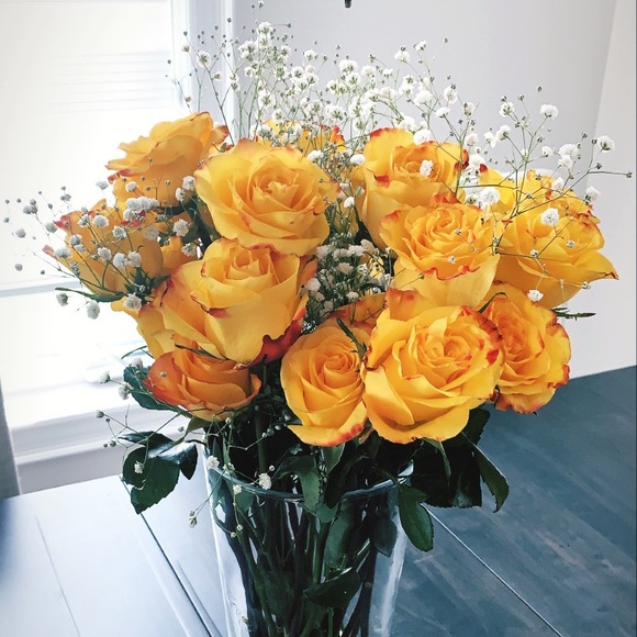 Meet your Posher, Roma - Picture 1 of 1